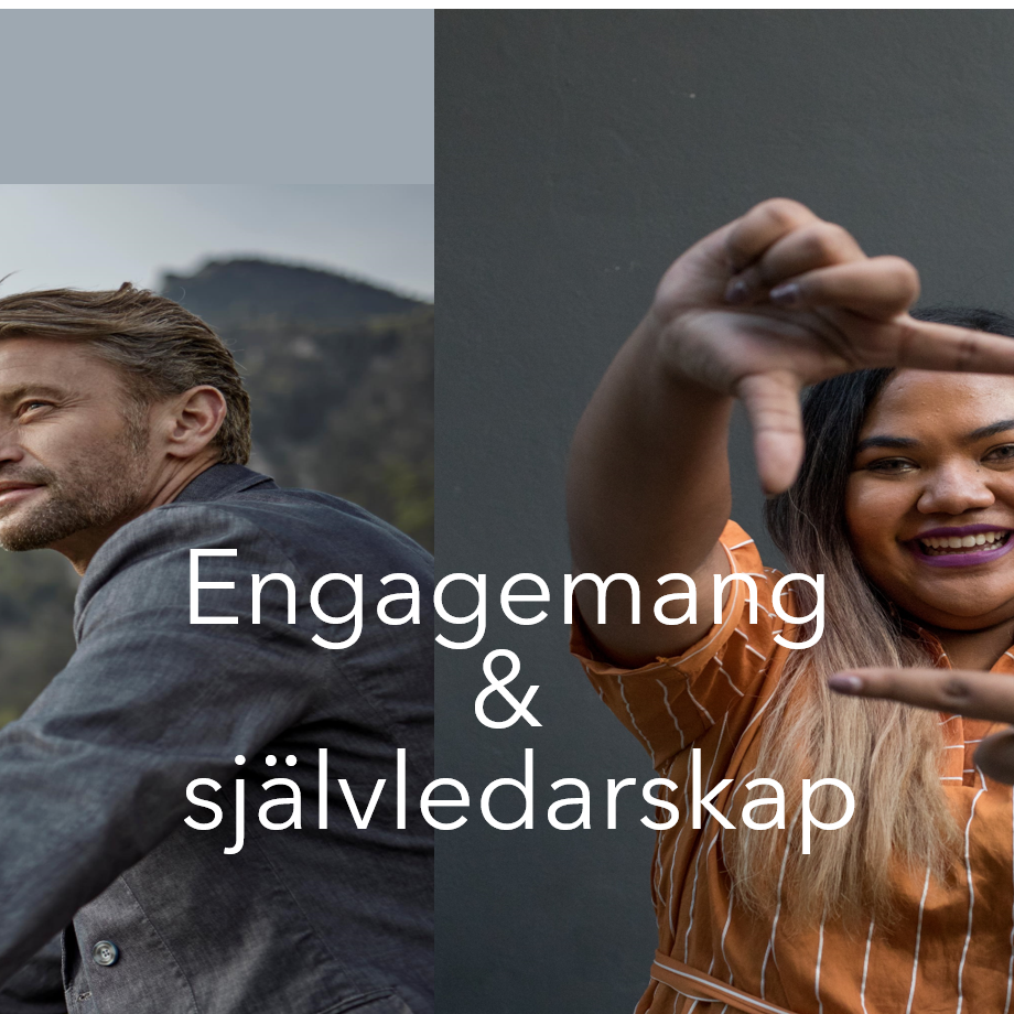 engagemang självledarskap